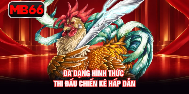 Đa dạng hình thức thi đấu chiến kê hấp dẫn